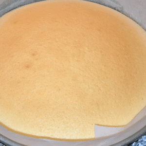 japanese cheesecake-moveyuhhand